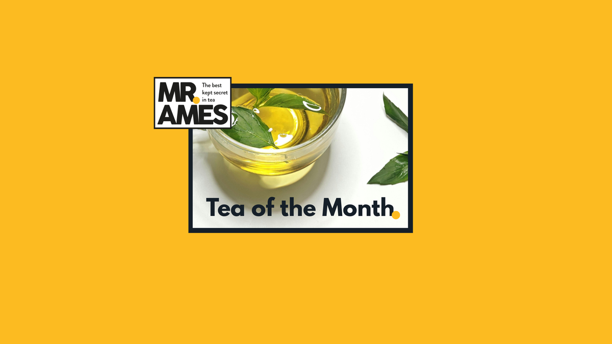 March 2026 - Lemongrass and Ginger – Mr Ames Tea